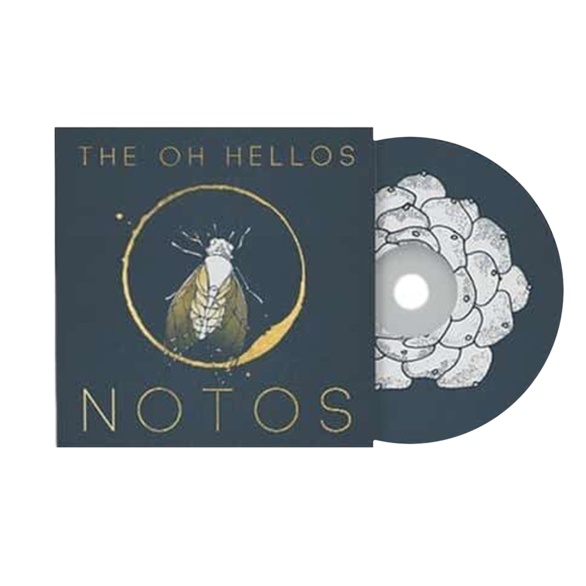 Notos CD